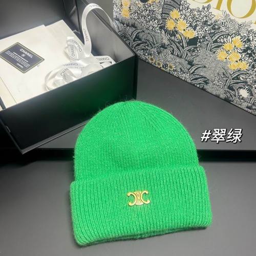 Celine Hats AAA-1615