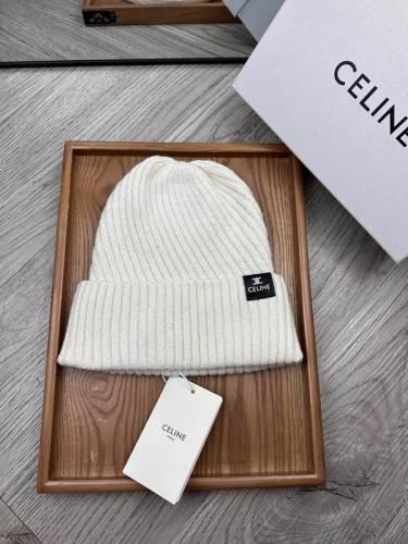 Celine Hats AAA-1547