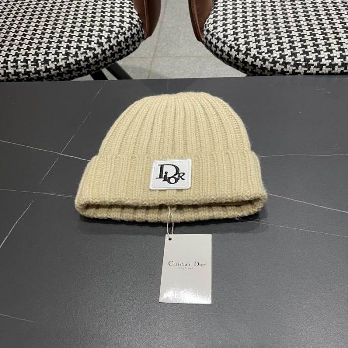 Dior Hats AAA-1435