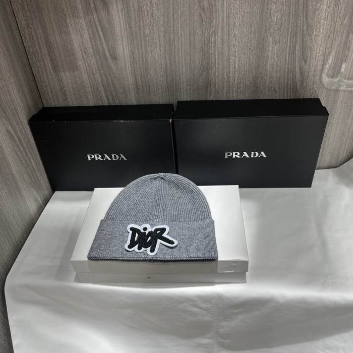 Dior Hats AAA-1417