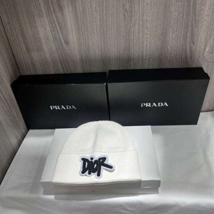 Dior Hats AAA-1424