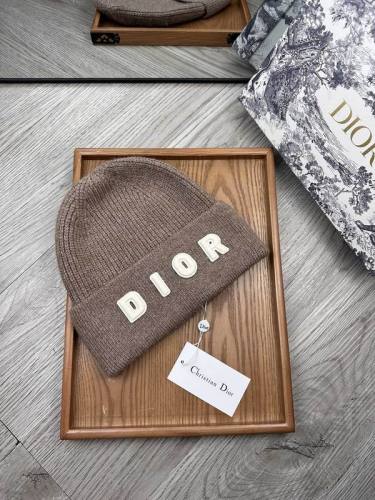 Dior Hats AAA-1462