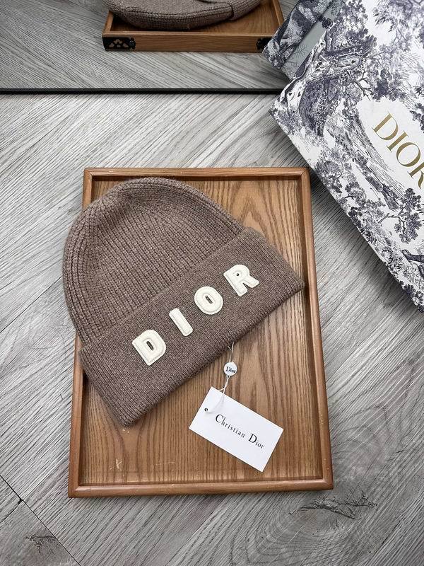 Dior Hats AAA-1462