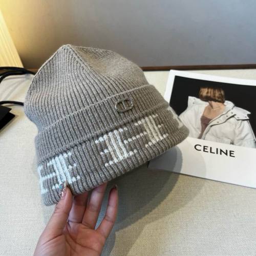 Dior Hats AAA-1452