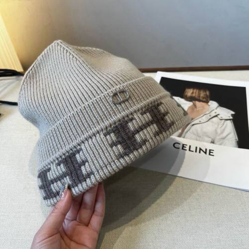 Dior Hats AAA-1454