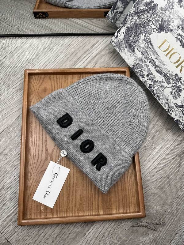 Dior Hats AAA-1460