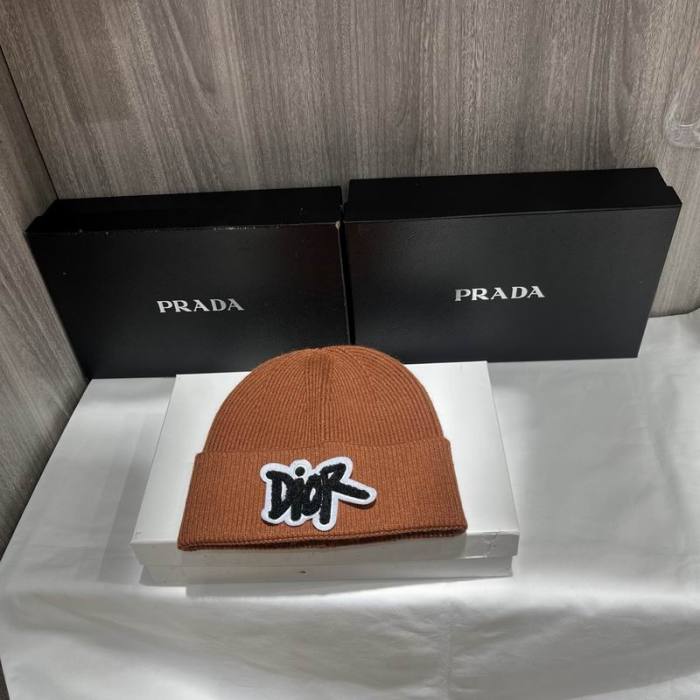Dior Hats AAA-1421