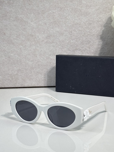 Dior Sunglasses AAAA-4954