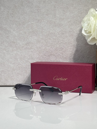 Cartier Sunglasses AAAA-14457