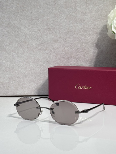 Cartier Sunglasses AAAA-14493