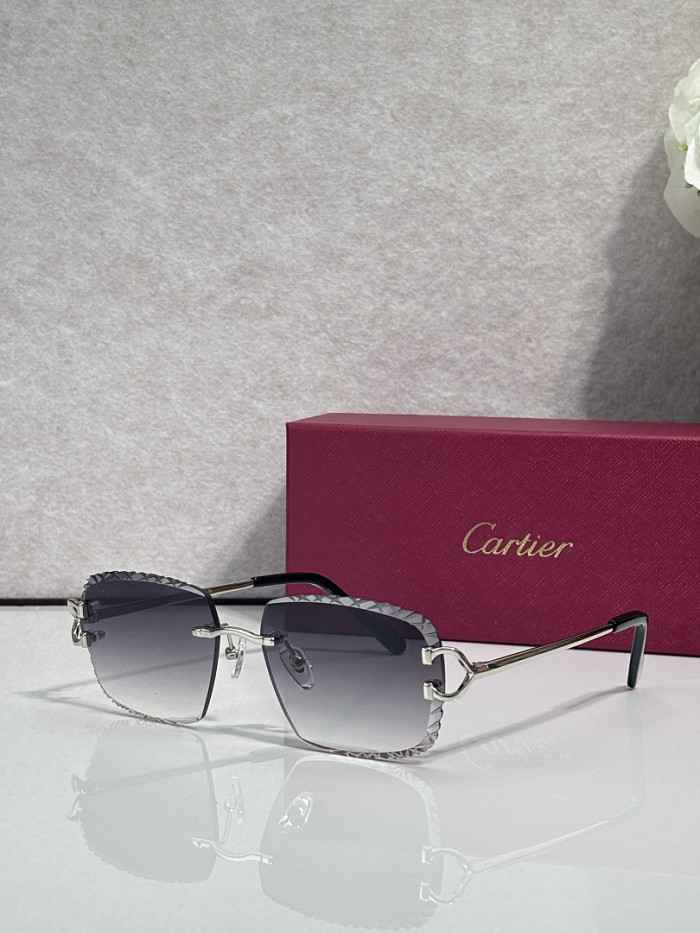 Cartier Sunglasses AAAA-14473
