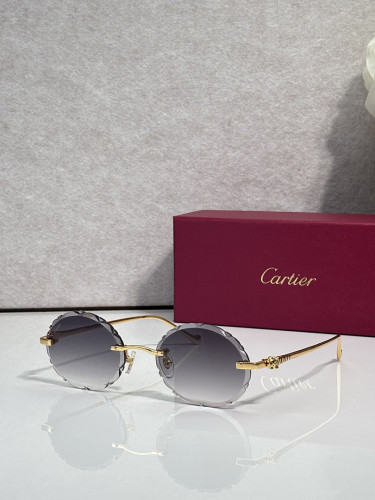 Cartier Sunglasses AAAA-14491