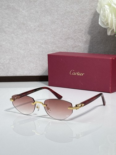 Cartier Sunglasses AAAA-13213