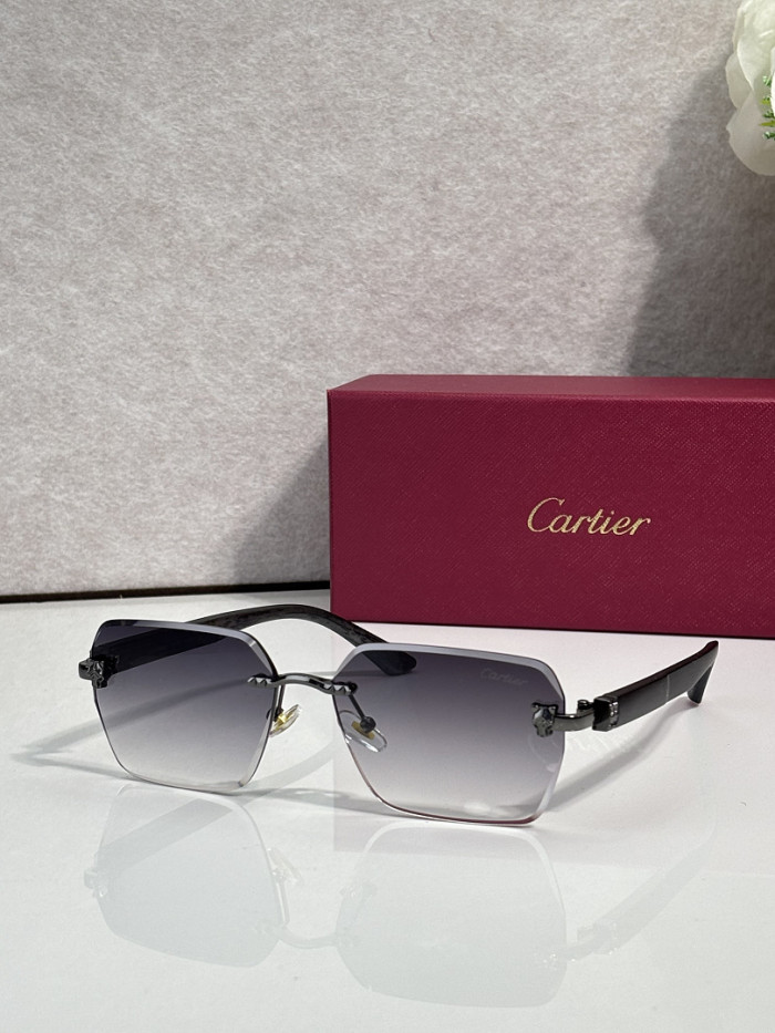 Cartier Sunglasses AAAA-14053