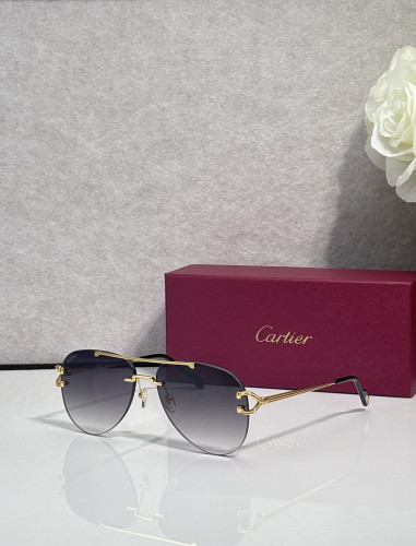 Cartier Sunglasses AAAA-13642