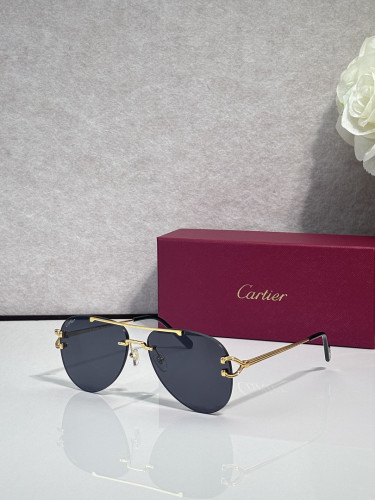 Cartier Sunglasses AAAA-13645