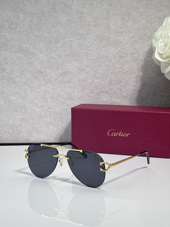Cartier Sunglasses AAAA-13645