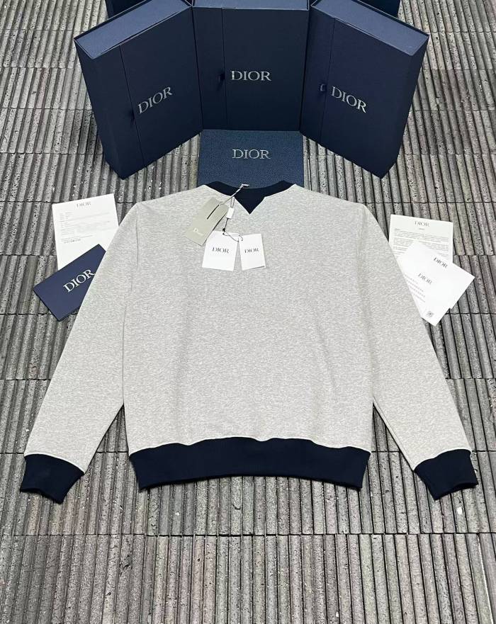 Dior Hoodies High End Quality-222