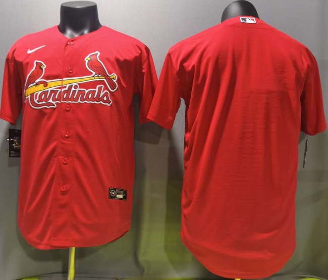 NFL Arizona Cardinals-090
