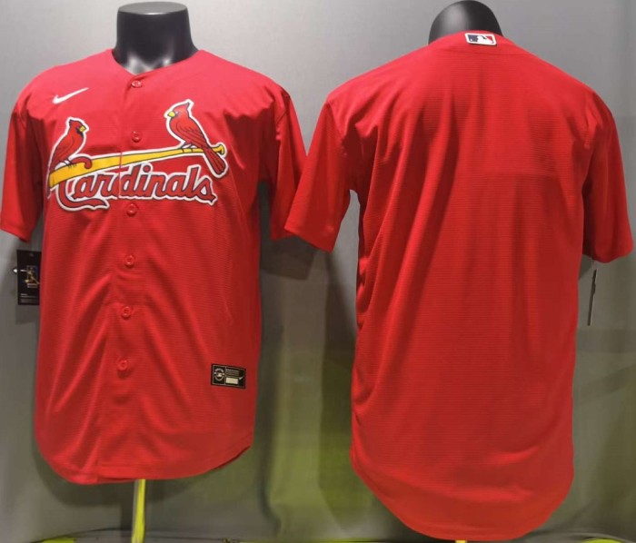 NFL Arizona Cardinals-090