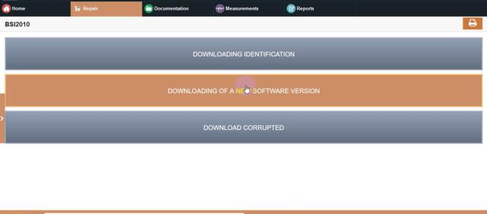 Lexia3 PP2000 Diagbox Online Programming Account Remote Login Service For Peugeot/Citroen/DS