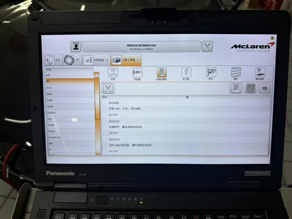 McLaren MDS diagnostic software