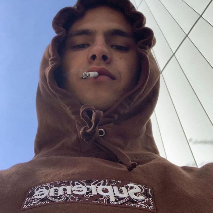 Supreme 19FW Bandana Box Logo Hooded Sweatshirt FZWY243
