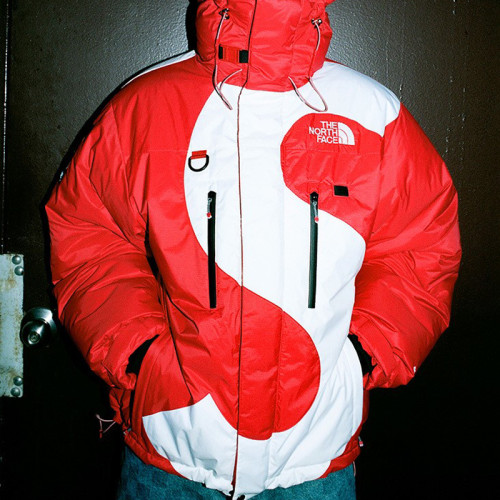 Supreme X The North Face S Logo Summit Series Himalayan Parka FZJK0320