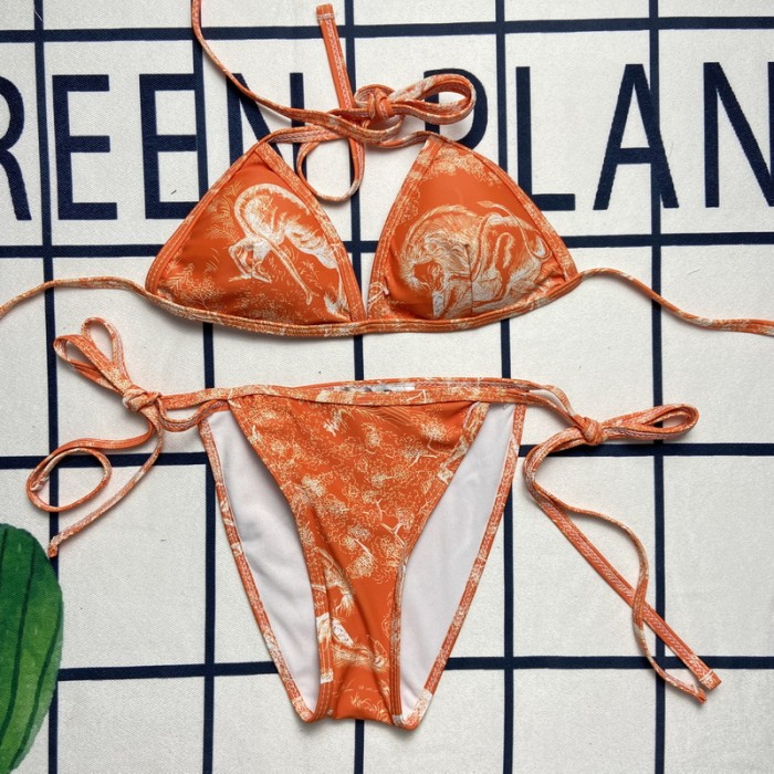 Dior bikini FZYZ008