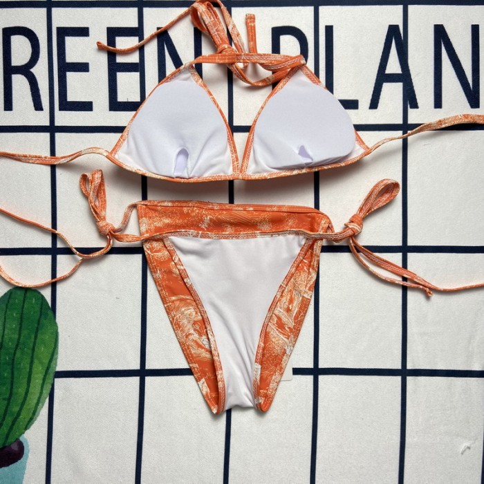 Dior bikini FZYZ008