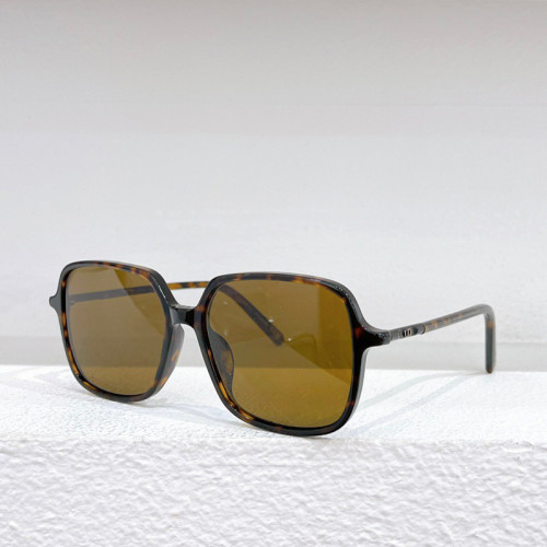 Dior MiniCD S2I Sunglasses FZMJ085