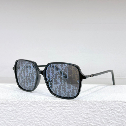 Dior MiniCD S2I Sunglasses FZMJ085