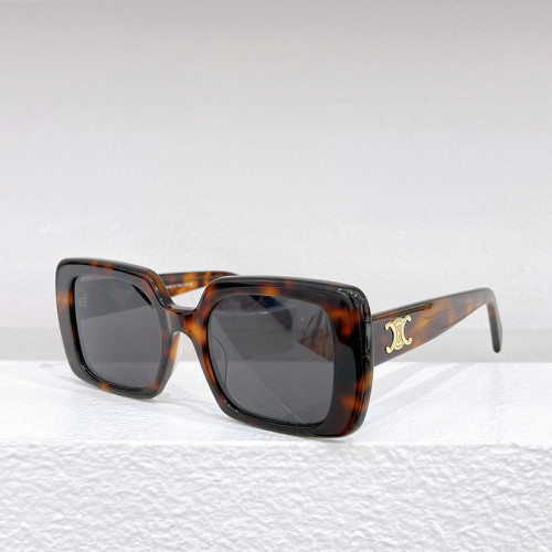 Celine CL50121I Sunglasses FZMJ141