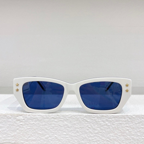 Dior Pacific S2U Sunglasses FZMJ152