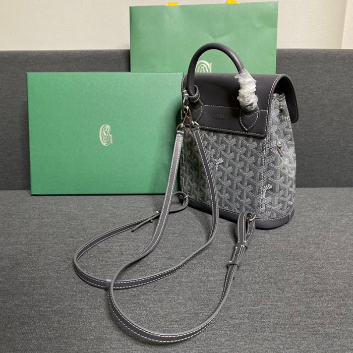 GOYARD ALPIN Backpack FZBB060