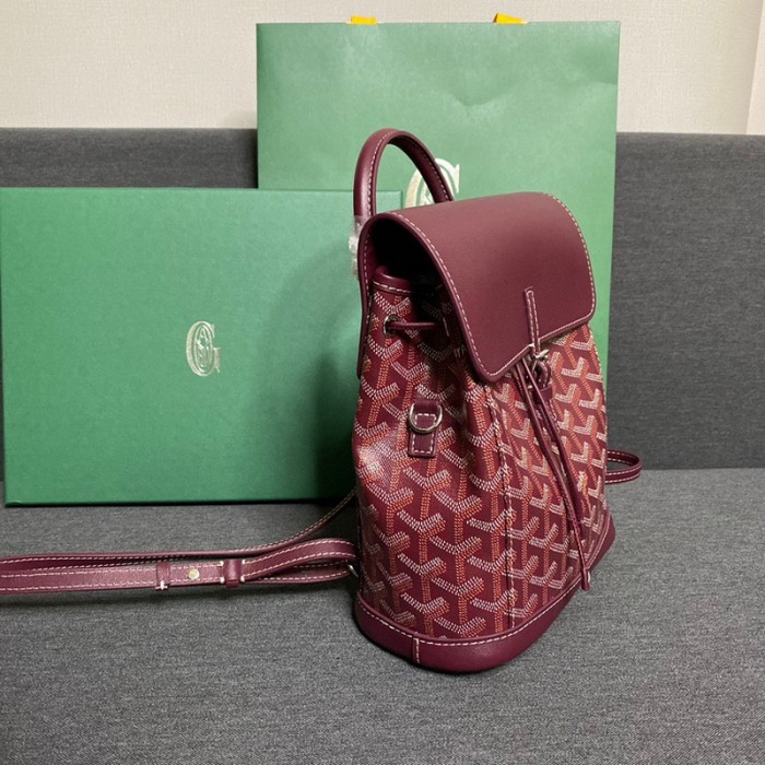 GOYARD ALPIN Backpack FZBB060