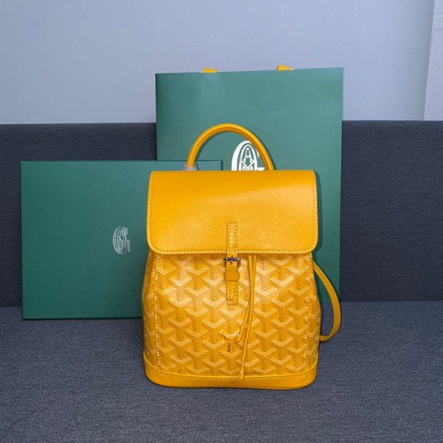 GOYARD ALPIN Backpack FZBB060