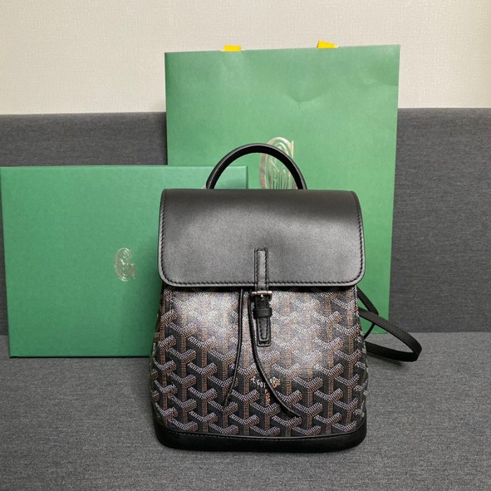 GOYARD ALPIN Backpack FZBB060
