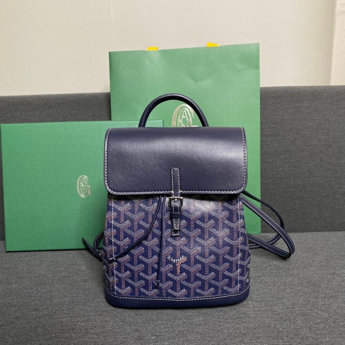 GOYARD ALPIN Backpack FZBB060
