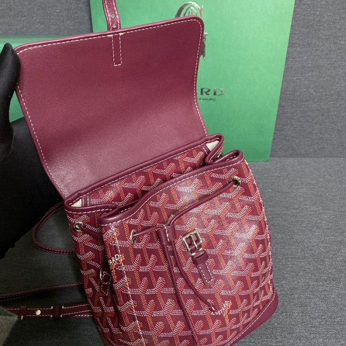 GOYARD ALPIN Backpack FZBB060