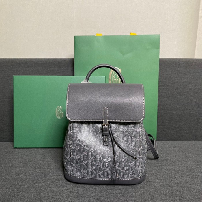 GOYARD ALPIN Backpack FZBB060