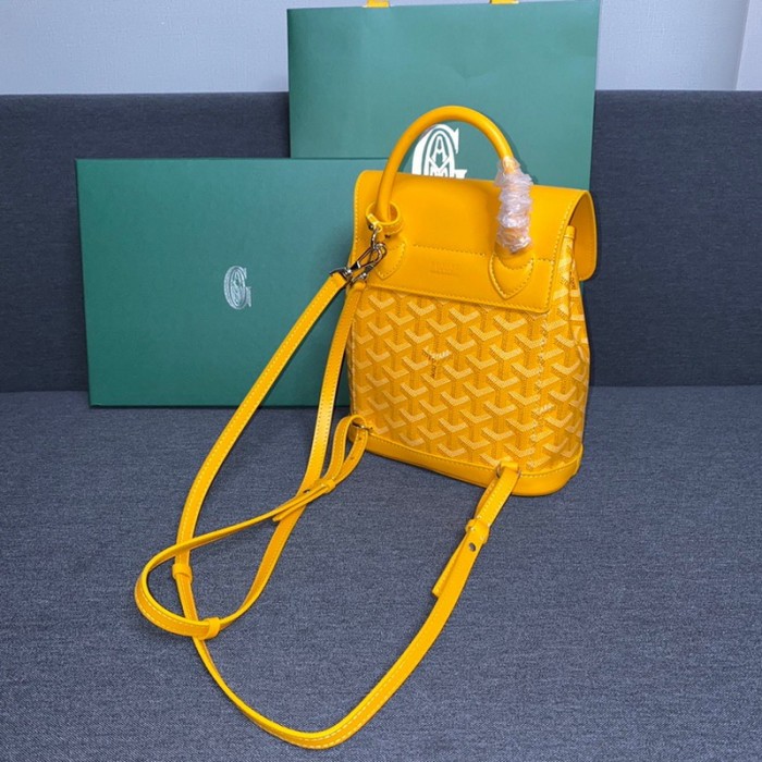 GOYARD ALPIN Backpack FZBB060