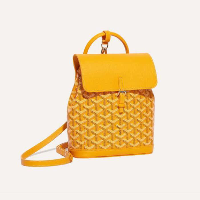 GOYARD ALPIN Backpack FZBB060
