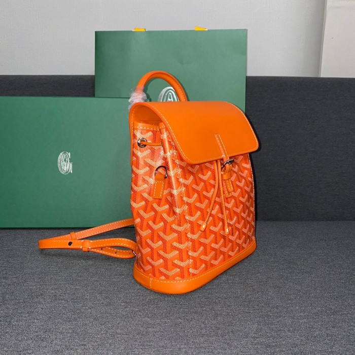 GOYARD ALPIN Backpack FZBB060