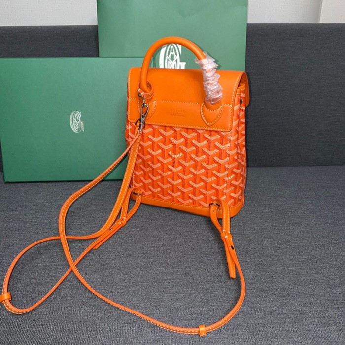 GOYARD ALPIN Backpack FZBB060