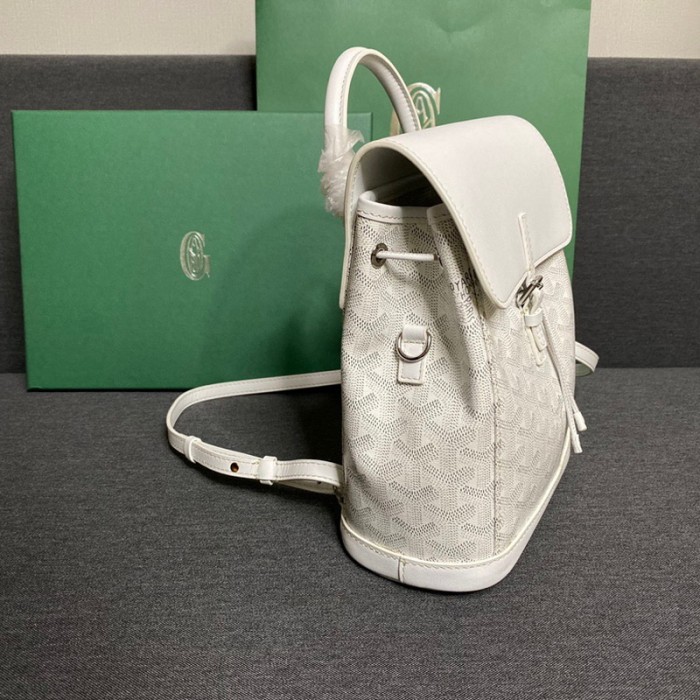 GOYARD ALPIN Backpack FZBB060