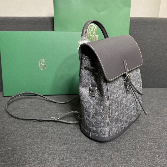 GOYARD ALPIN Backpack FZBB060