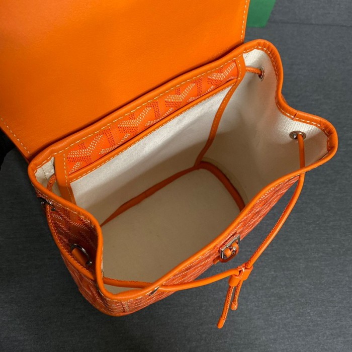 GOYARD ALPIN Backpack FZBB060
