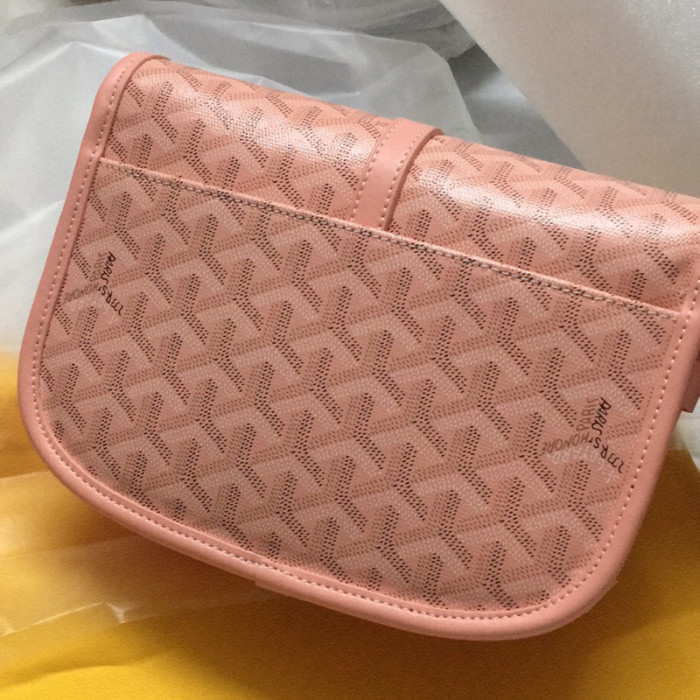 GOYARD BELVEDERE BAG 170th anniversary FZBB057