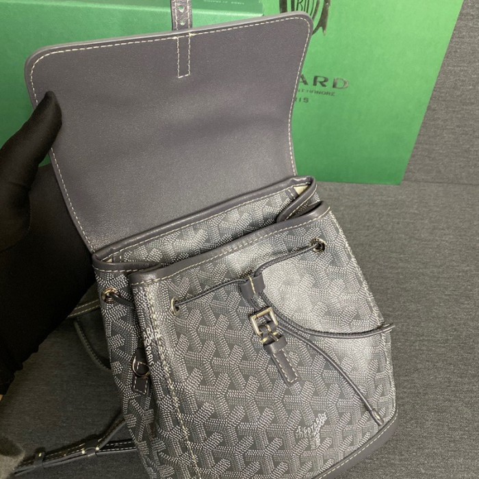 GOYARD ALPIN Backpack FZBB060